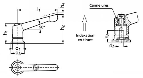 Manette indexable zamac, &agrave; palier, taraud&eacute;, acier ou inox - Sch&eacute;ma