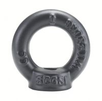 Anneau de levage taraudé DIN 582, anti-reflets