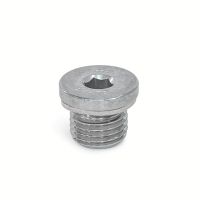 Bouchon d'huile 6 pans creux, Inox, joint inox